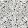 Microscopic View Of Diamond