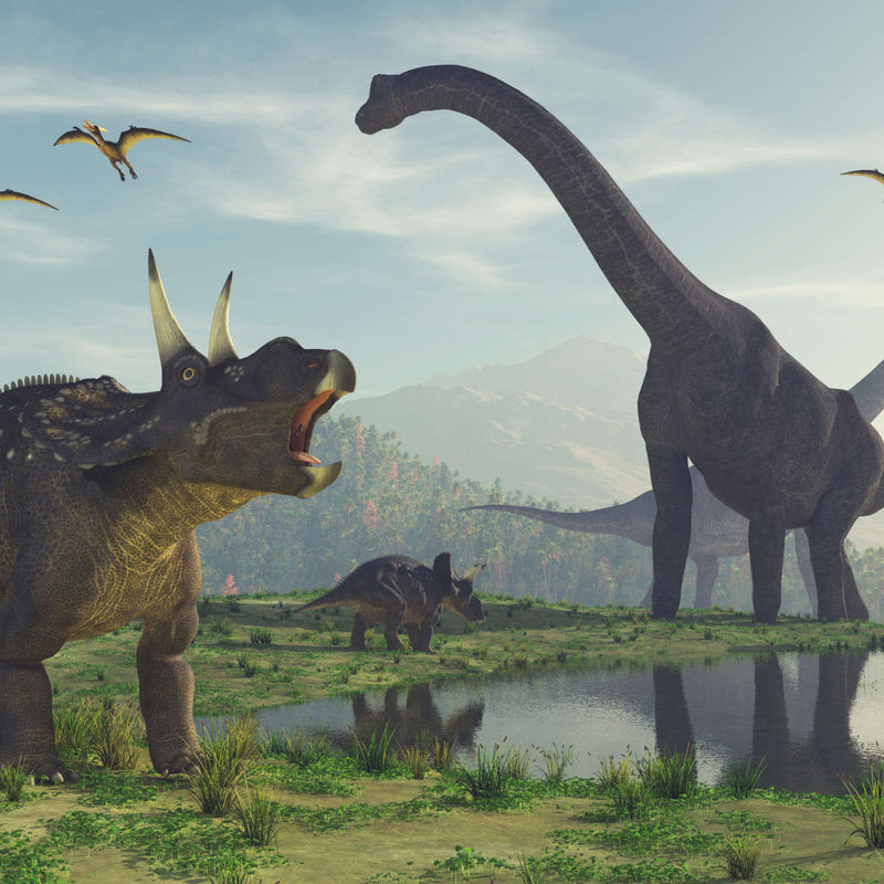 World Of Dinosaurs Wall Art
