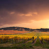 South Australia Vineyard Wall Art