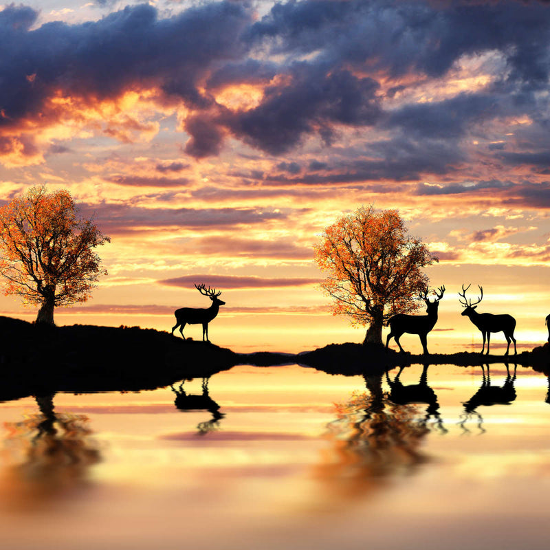Lakeside Deer Wall Art