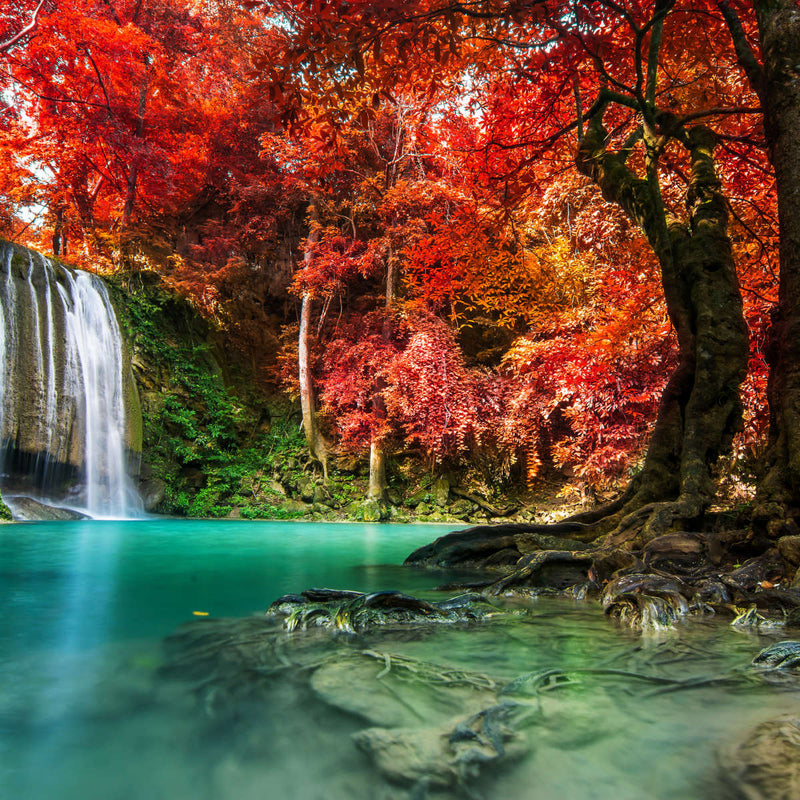 Red Waterfall Wall Art