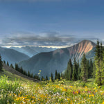 Rocky Mountain National Park Meadow Wall Art