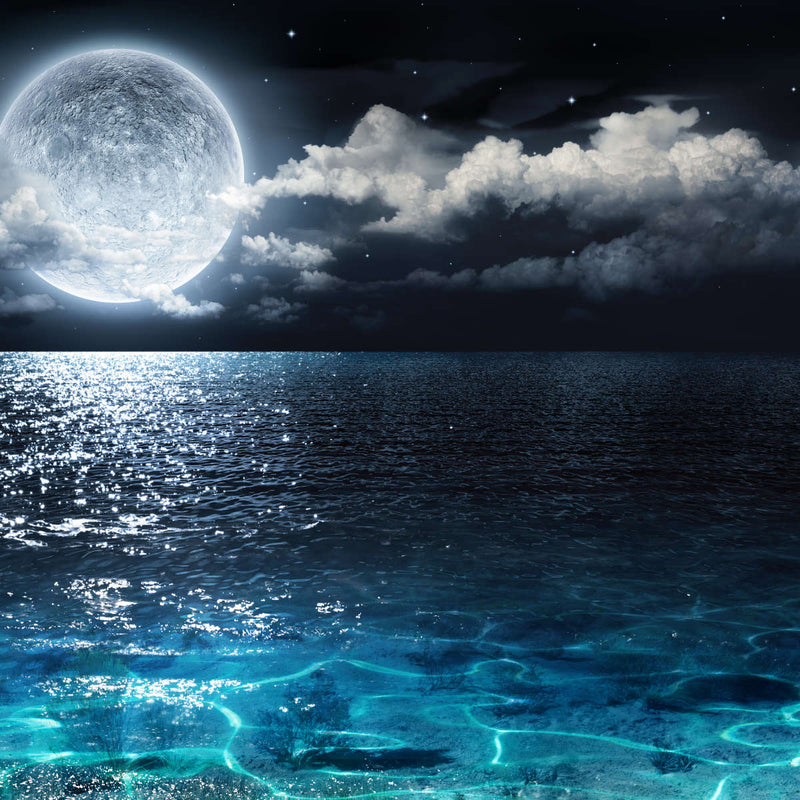 Romantic Full Moon Wall Art