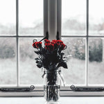 Rose Anticipation Wall Art