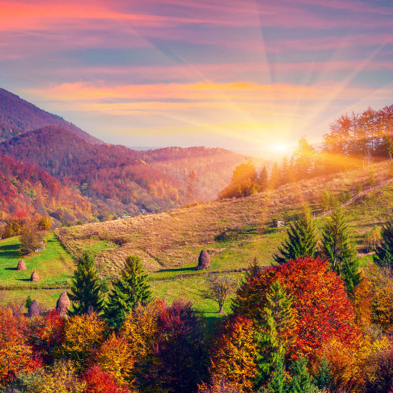 Mountain Autumn Sunrise Wall Art
