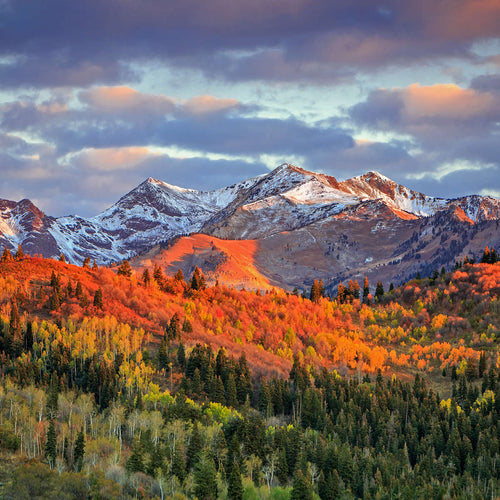 Wasatch Mountain Wall Art