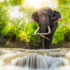 Waterfall Elephant Wall Art