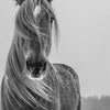 Winter Horse Wall Art