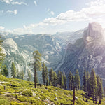 Yosemite Half Dome Wall Art