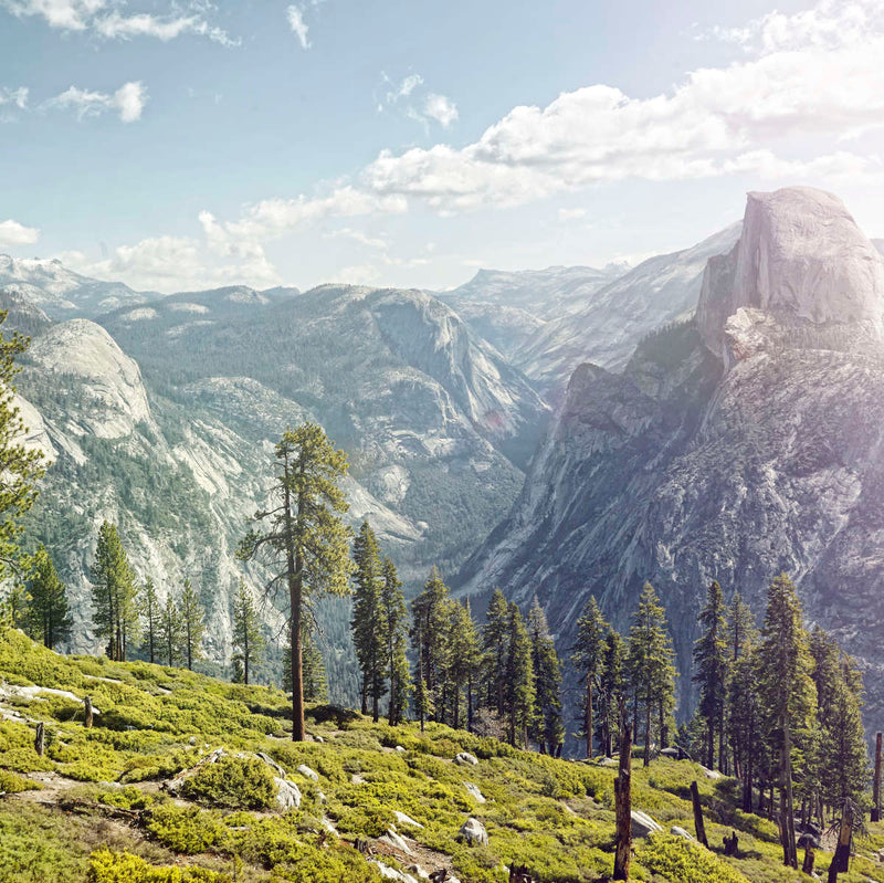Yosemite Half Dome Wall Art