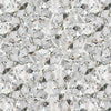Microscopic View Of Diamond