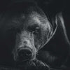 Monochrome Brown Bear Wall Art