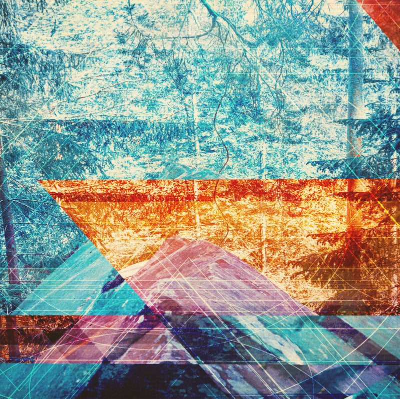 Psychedelic Forest Wall Art