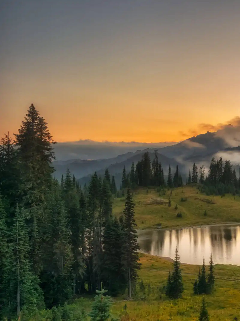 Majestic Sunset At Mount Rainer Wall Art