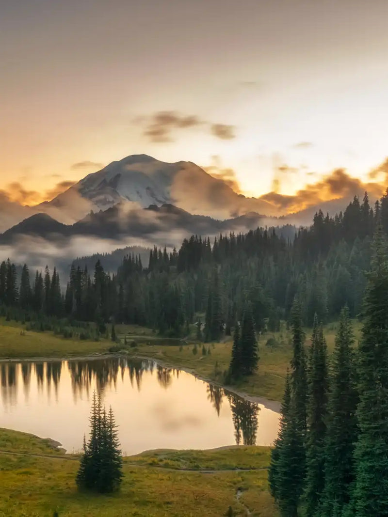 Majestic Sunset At Mount Rainer Wall Art
