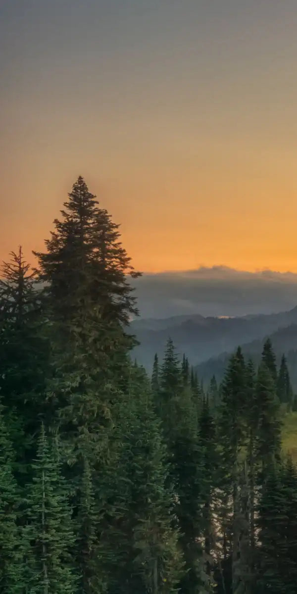 Majestic Sunset At Mount Rainer Wall Art