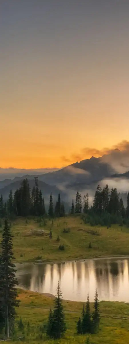Majestic Sunset At Mount Rainer Wall Art