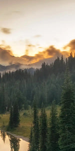 Majestic Sunset At Mount Rainer Wall Art