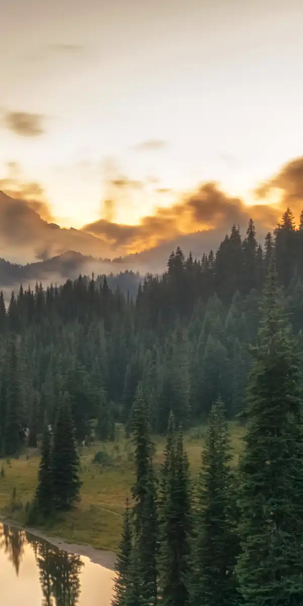 Majestic Sunset At Mount Rainer Wall Art