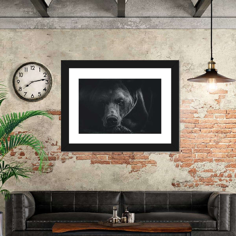 Monochrome Brown Bear Wall Art