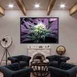 Rare Cannabis Plant Wall Art
