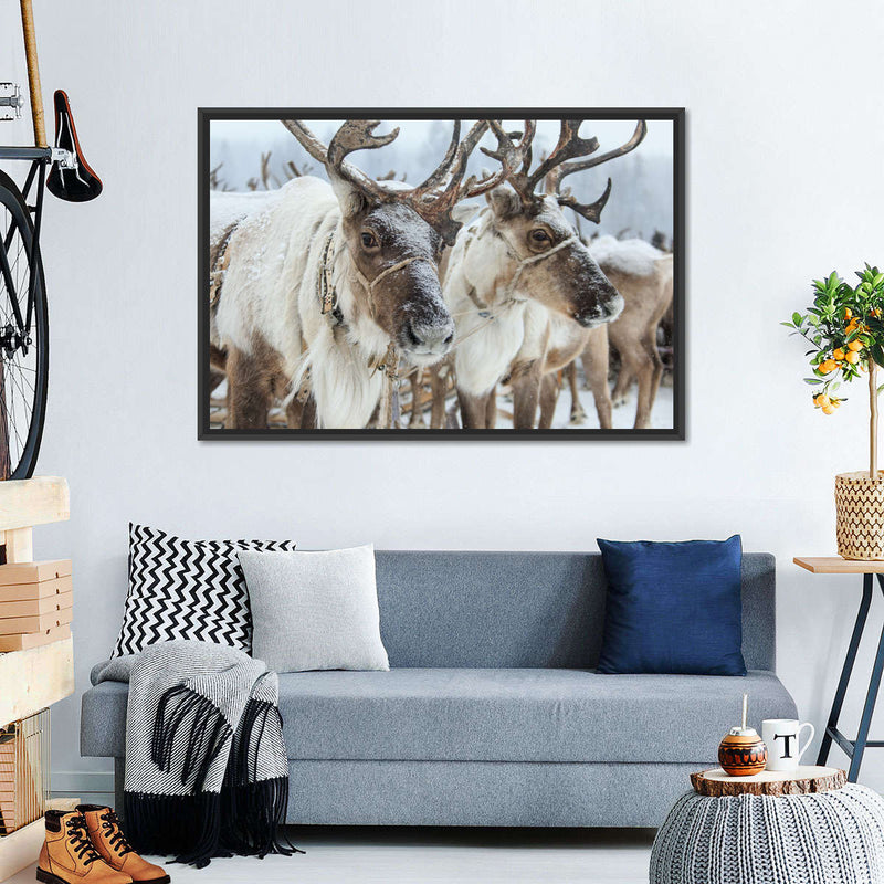 Snow Reindeer Wall Art