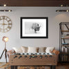 Wild Bison Wall Art