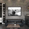 Highland Bull Wall Art