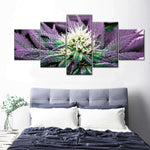 Rare Cannabis Plant Wall Art