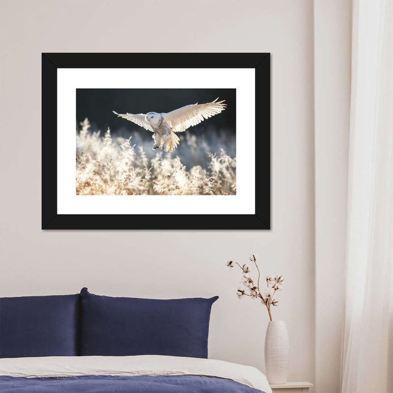 Snowy Owl Hunt Wall Art