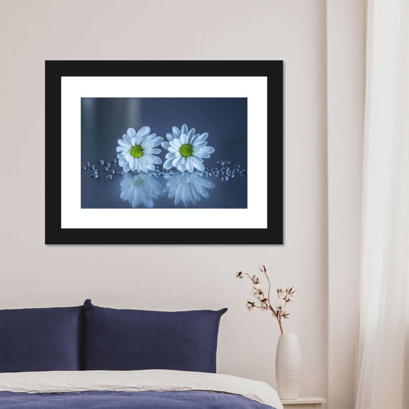 White Daisies Wall Art