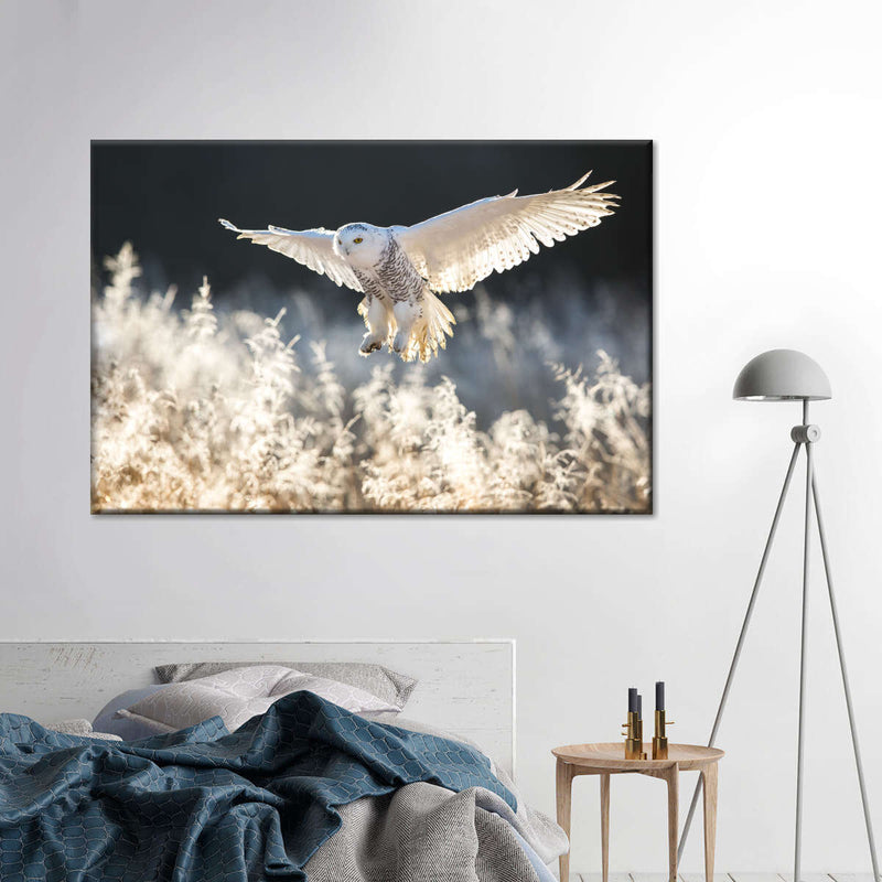 Snowy Owl Hunt Wall Art