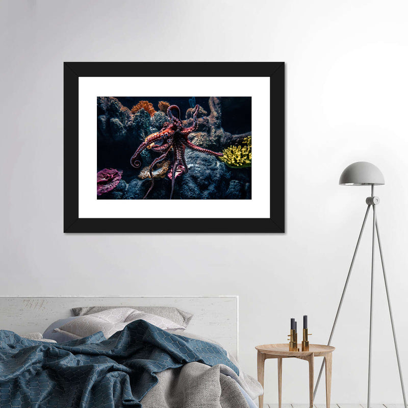 Octopus Habitat Wall Art