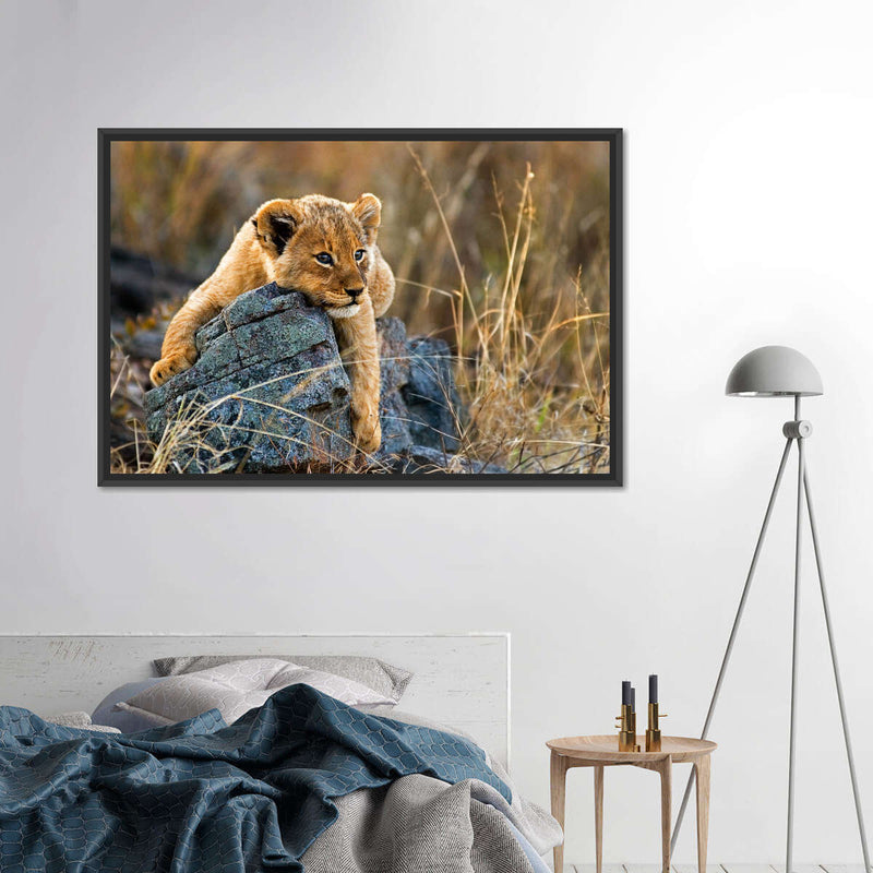 Safari Lion Cub Wall Art