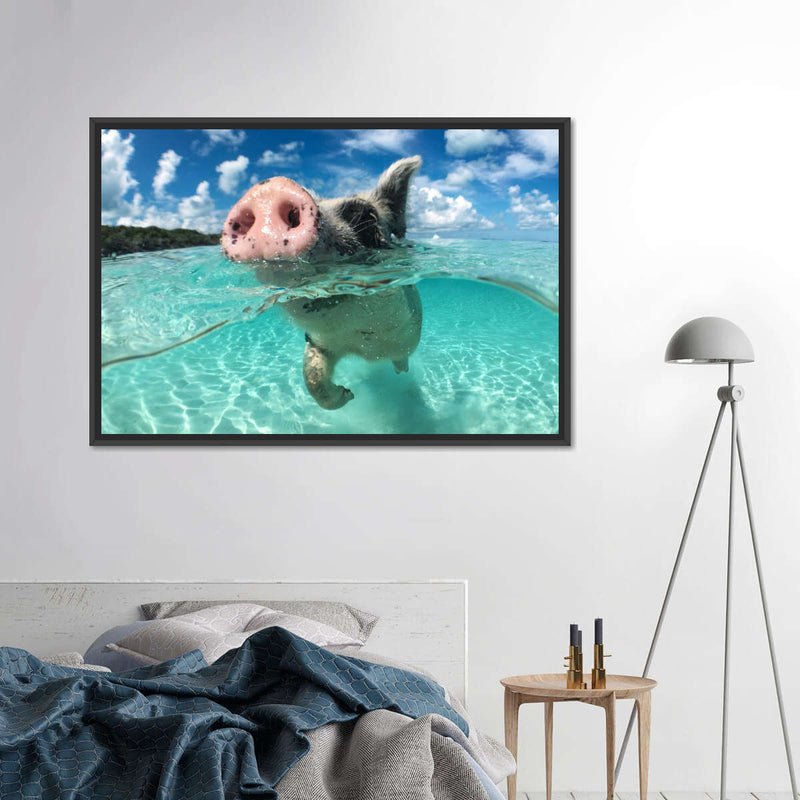 Swimming Pig Wall Art