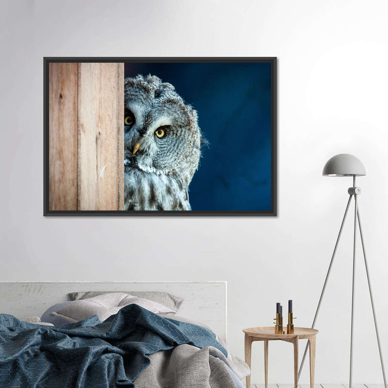 Peeking Owl Wall Art