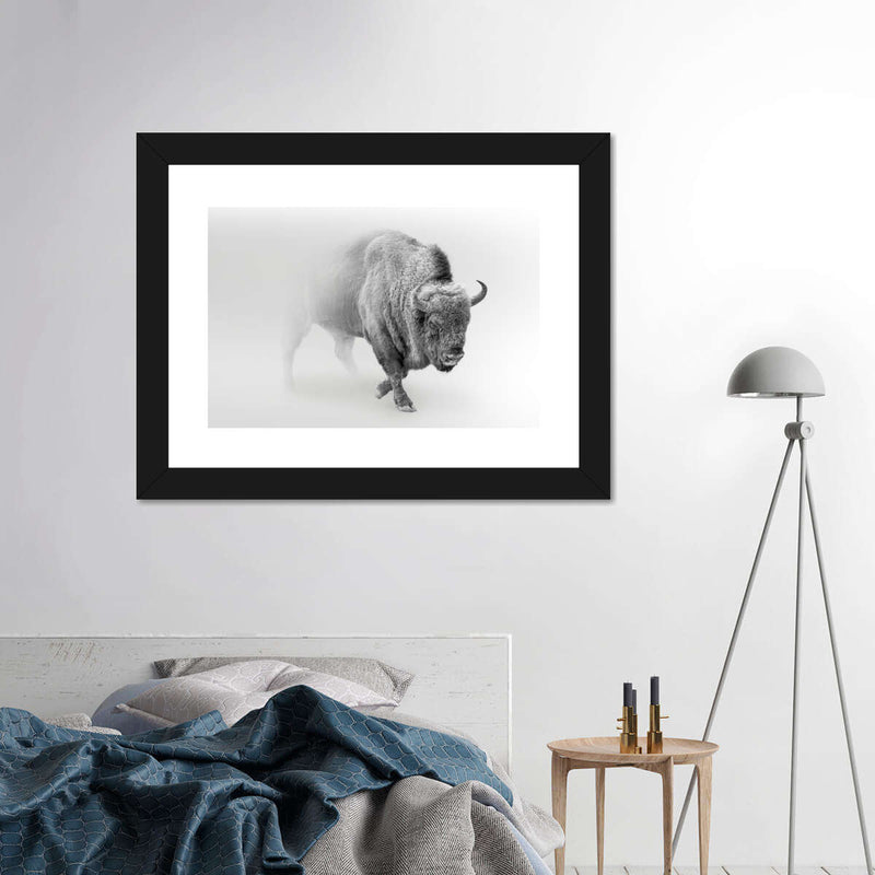 Wild Bison Wall Art