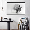 Wild Bison Wall Art