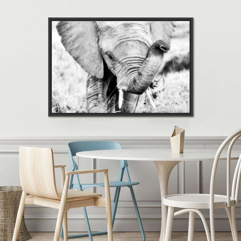 Kenyan Baby Elephant Wall Art