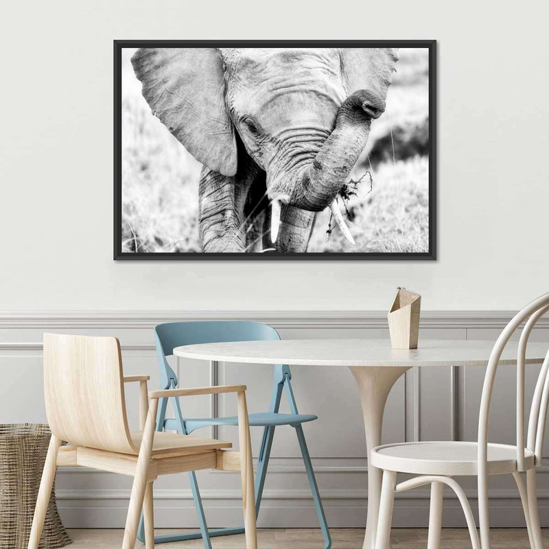 Kenyan Baby Elephant Wall Art