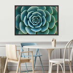Live Succulent Wall Art