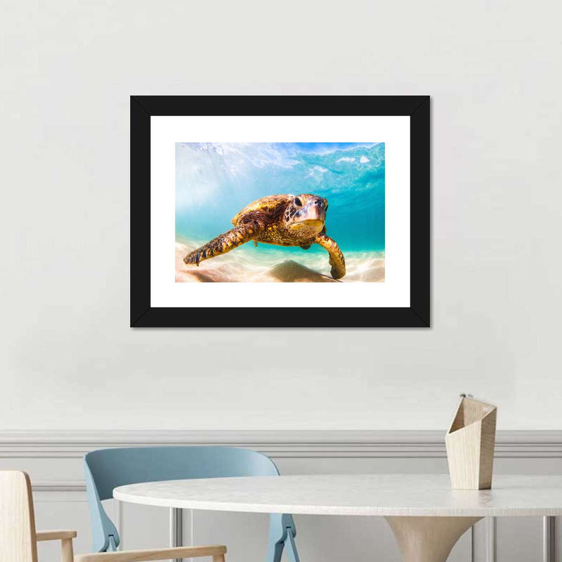 Hawaiian Turtle Wall Art