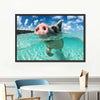 Swimming Pig Wall Art