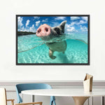 Swimming Pig Wall Art