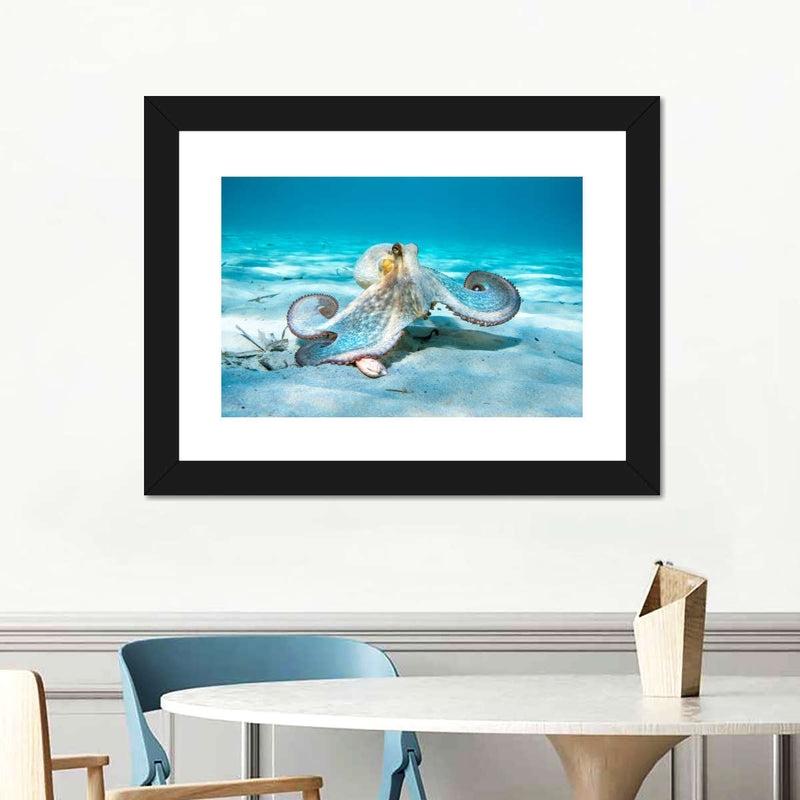 Roaming Octopus Wall Art