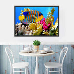 Queen Angelfish Wall Art