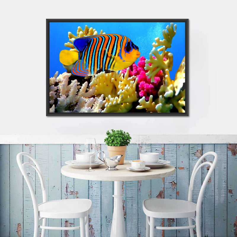 Queen Angelfish Wall Art