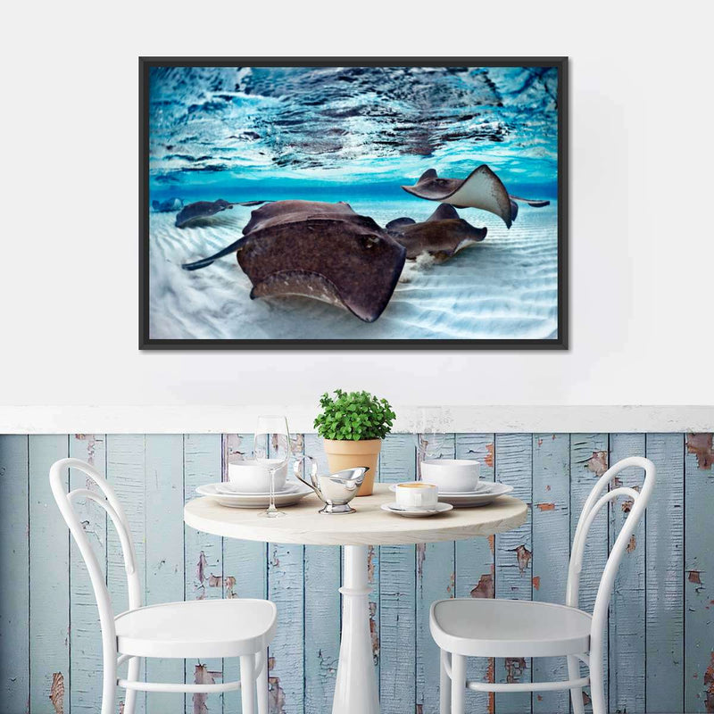 Stingrays Sea Life Wall Art