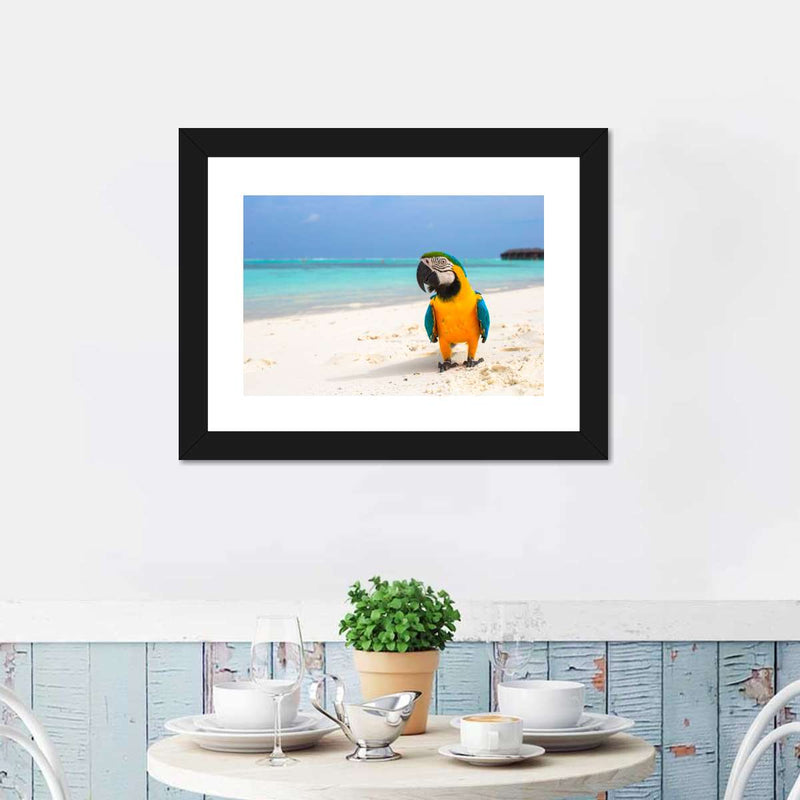 Parrot On Summer Day Wall Art