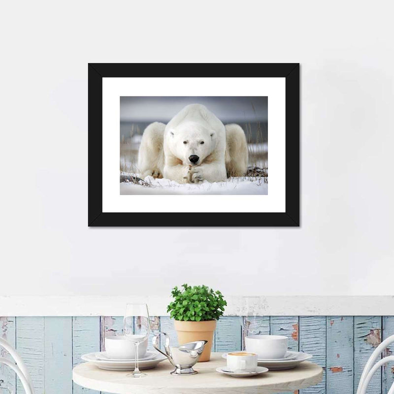 Yoga Polar Bear Wall Art